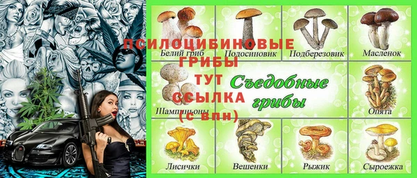 прущая мука Абаза